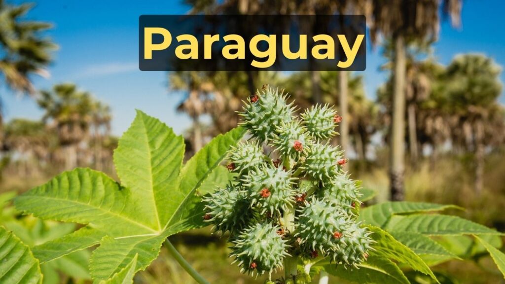 Paraguay